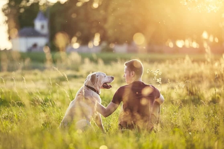 A dog and man sit in a sunlit field together.